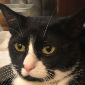 Meet your Posher, Maggie